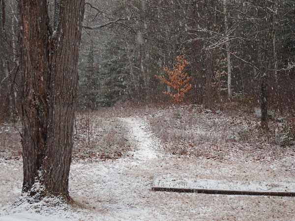 late season snow in Point Alexander