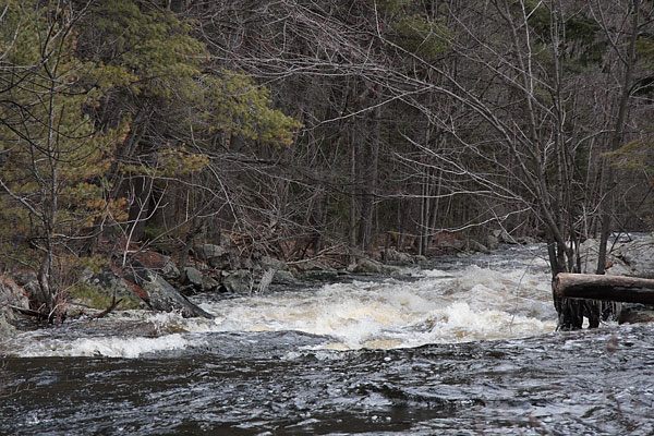 The Chalk River in flood