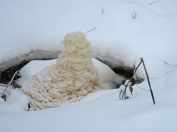 spring freshet in thePetawawa Research Forest