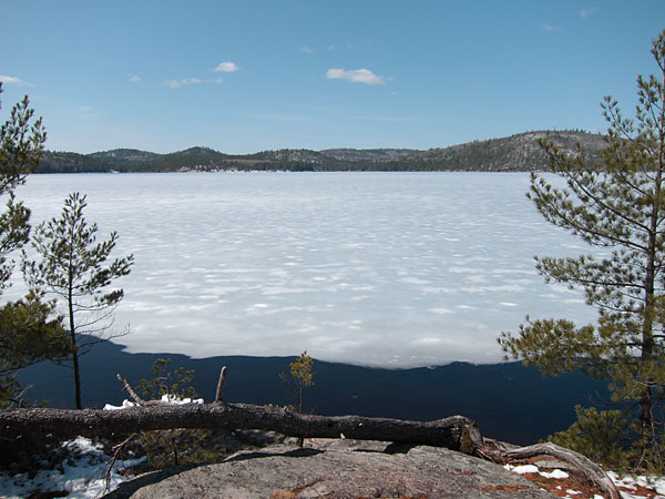 Carcajou Bay as seen from the Tom Thomson Jackpine site on Grand Lake in Algonquin Park