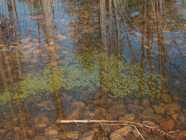 reflections along the Deep River waterfront