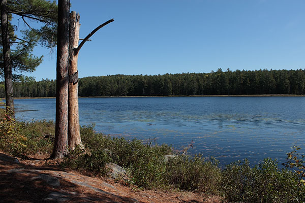 Bucholtz Lake along the Eastern Pines Hiking Trail in Algonquin Park