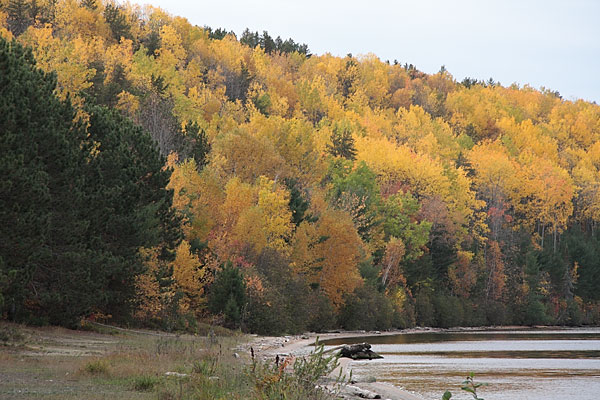 Fall colours at Driftwood Provincial Park