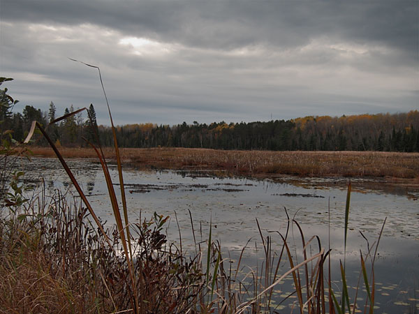 Cranberry Lakes on the Silver Spoon Ski Trails in Deep River
