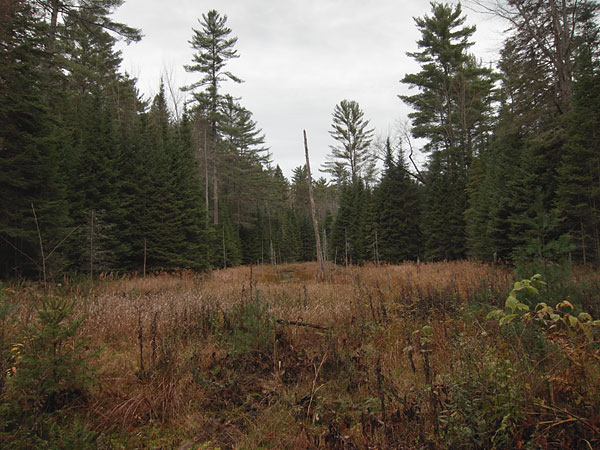 Wet Spot on the Silver Spoon Ski Trails in Deep River