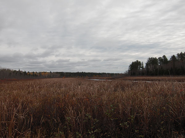 Chalk River at the Corry Lake Bridge