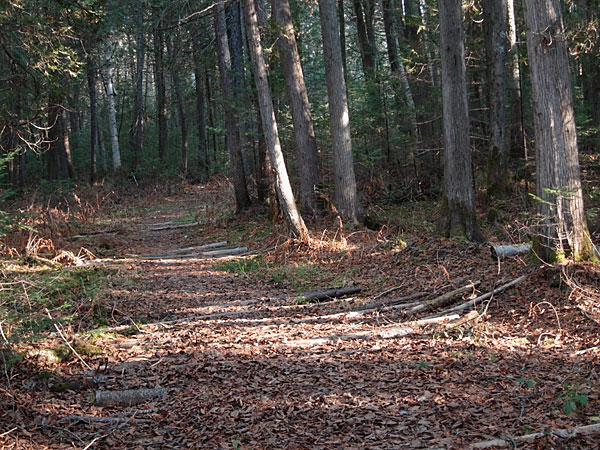 Silver Spoon Ski Trail