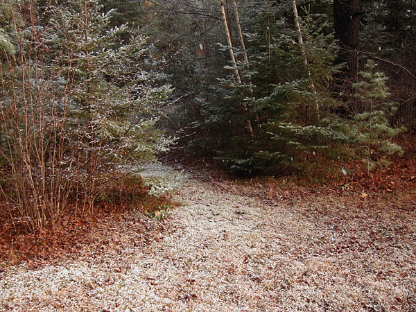 first dusting of snow in Point Alexander