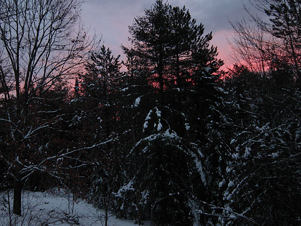 sunrise in Point Alexander