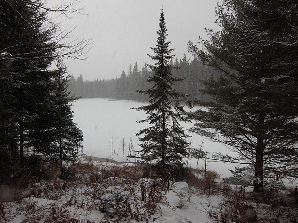 HSA Trail in the Petawawa Research Forest