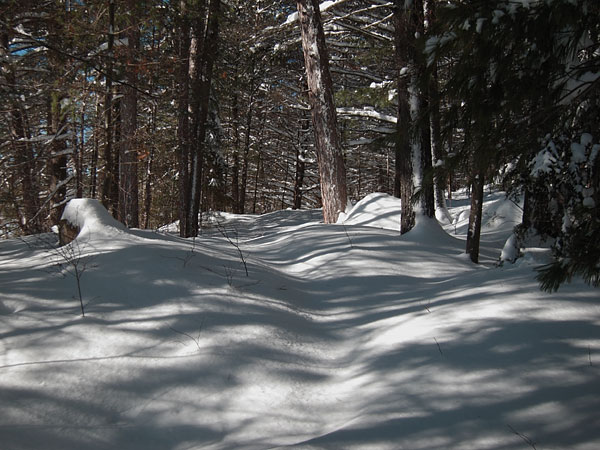 Maunsell Lake Ski Trail in the Petawawa Research Forest