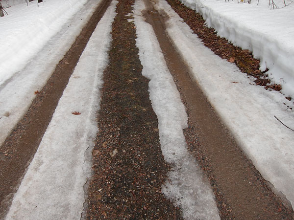 our driveway in Spring