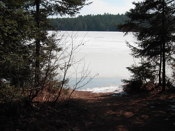Young Lake in the Petawawa Research Forest