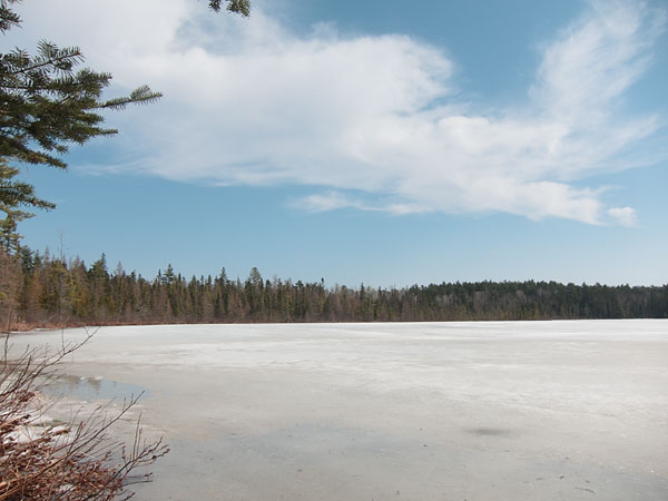 Young Lake in the Petawawa Research Forest