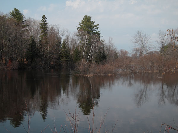 York River at Centennial Park in Bancroft