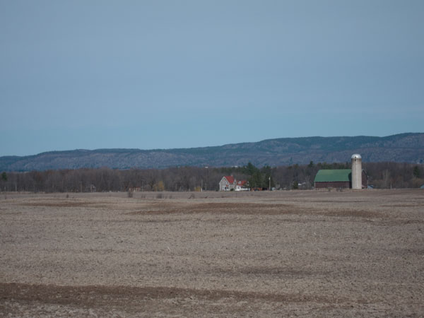 farm near Constance Bay