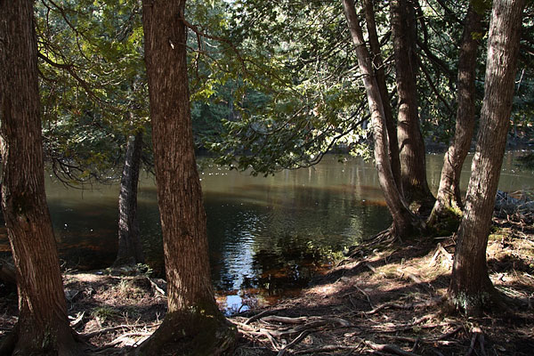  Barron River at Squirrel Rapids in Algonquin Park