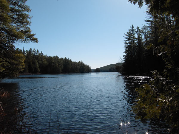 Squirrel Rapids on the Barron River in Algonquin Park