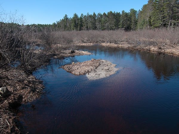 Lone Creek in Algonquin Park