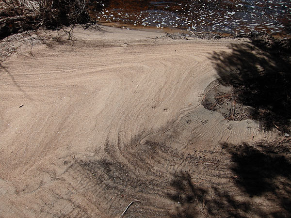 Forbes Creek in Algonquin Park
