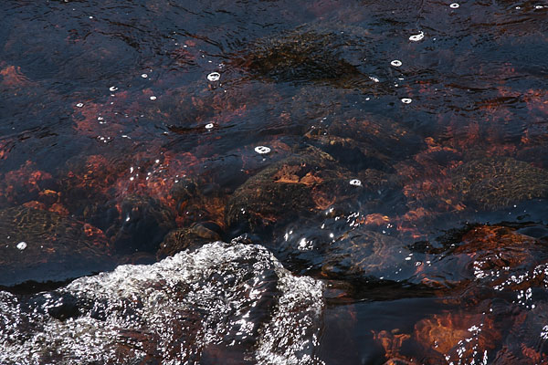 Forbes Creek in Algonquin Park
