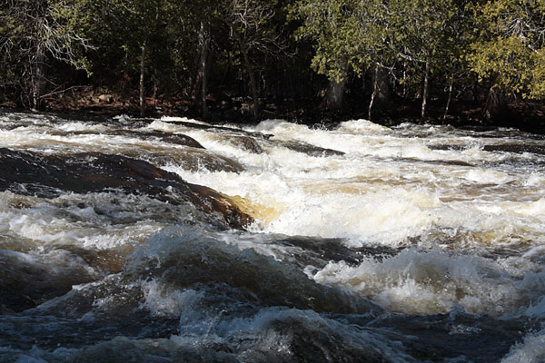 Poplar Rapids on the Petawawa River in Algonquin Park