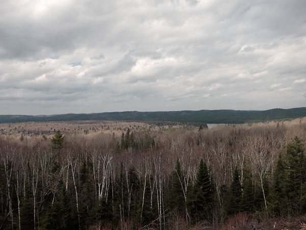 Tecumseh Lake as seen from Brent Crater viewing platform on the Brent Road in Algonquin Park