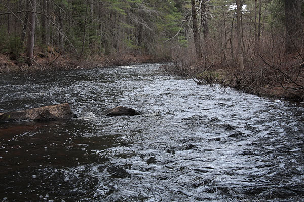 Lone Creek in Algonquin Park