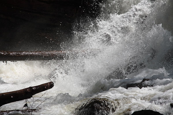 Barron River between Highfalls Lake and St Andrews Lake in Algonquin Park