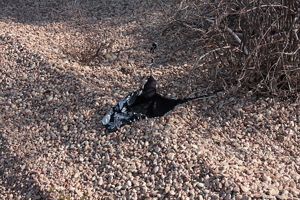 lost bathing suit at Presquisle on the Ottawa River near Point Alexander