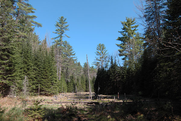 Silver Spur Ski Trail in Deep River