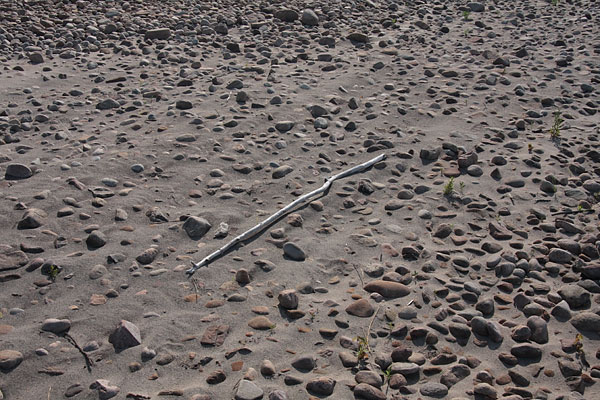 pebbles at Presquisle on the Ottawa River near Point Alexander