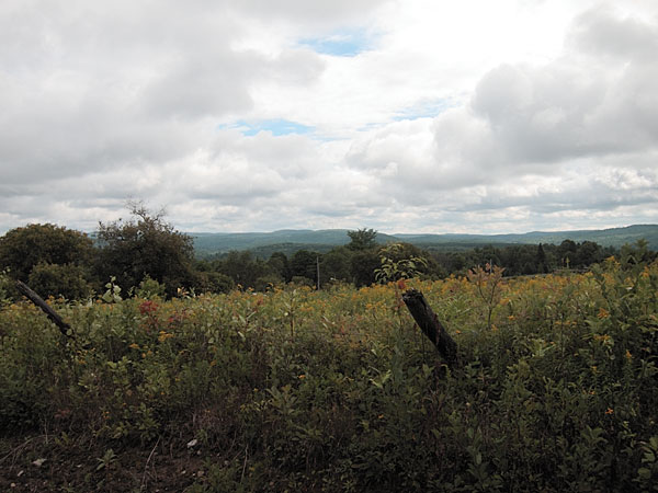 near Fort Stewart Ontario