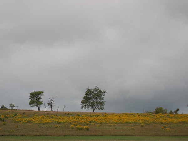 near Fort Stewart Ontario