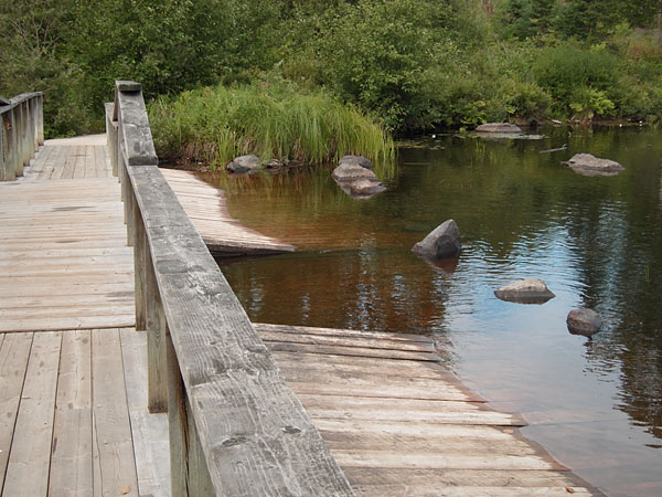 Crooked Slide Park along the Old Barrys Bay Road
