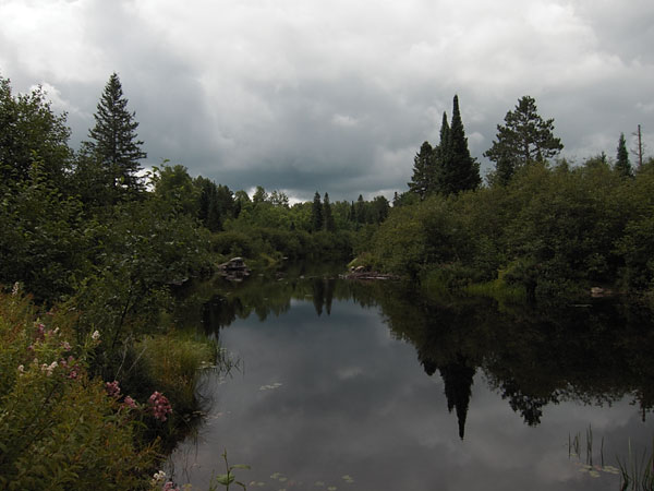 Rockingham Creek downstream of Crooked Slide Park along the Old Barrys Bay Road