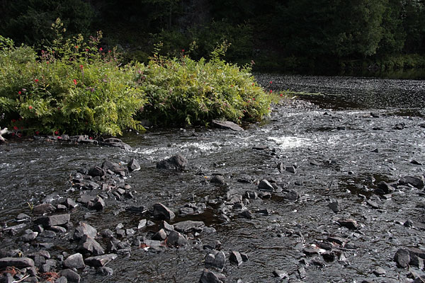 Cache Rapids on the Barron River in Algonquin Park