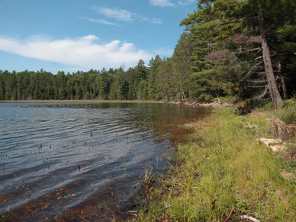 Tarn Lake in Algonquin Park