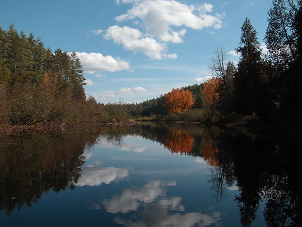 near Brigham Lake in Algonquin Parek