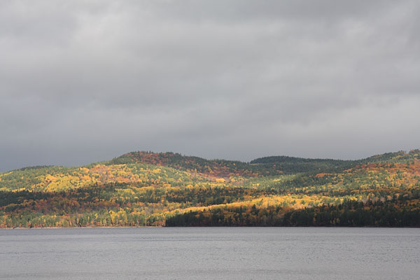 fall colours on the Quebec shore of the Ottawa River across from Deep River