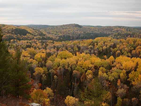 Costello Creek Lookout in Algonquin Park