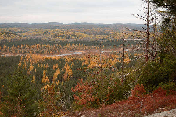 Costello Creek as seen from the Costello Creek Lookout in Algonquin Park