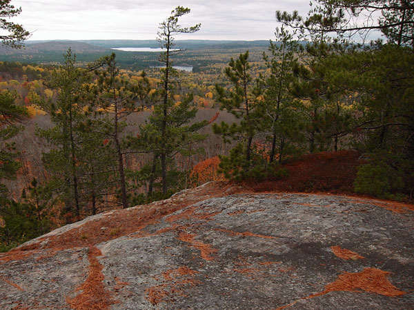 south lookoutr trail in Algonquin Park