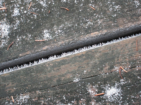 frost on the boardwalk  along the Chalk River at hwy 17