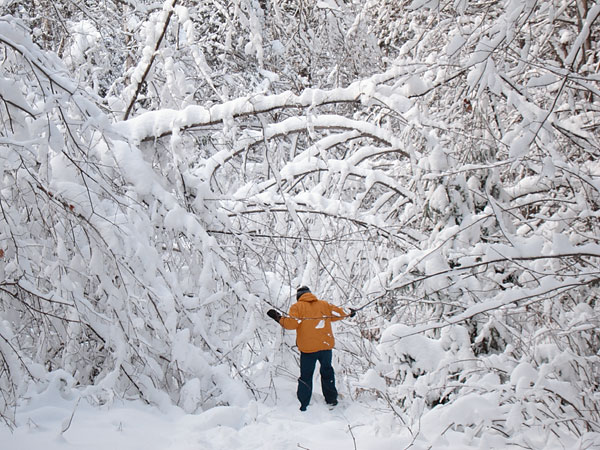 Snowshoeing in the Petawawa Research Forest