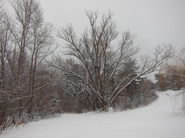 Deep River Waterfront