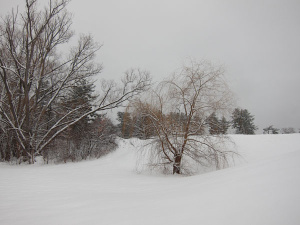  Deep River Waterfront