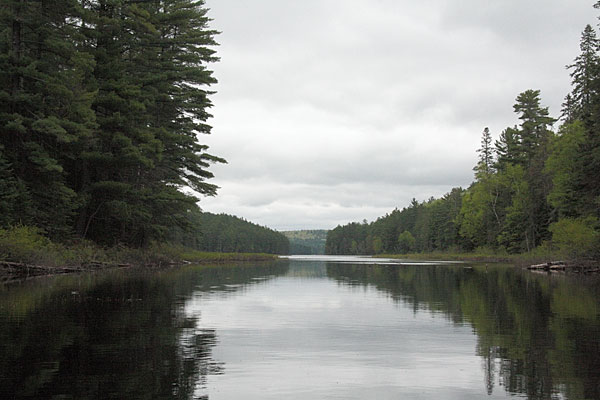 Cartier Lake in the Petawawa Research Forest