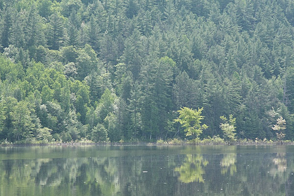 Presquisle on the Ottawa River near Point Alexander
