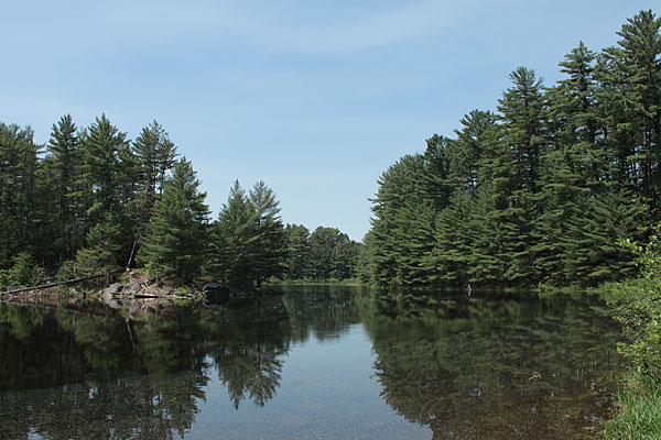 Barron Rive between Grand Lake and Stratton Lake in Algonquin Park
